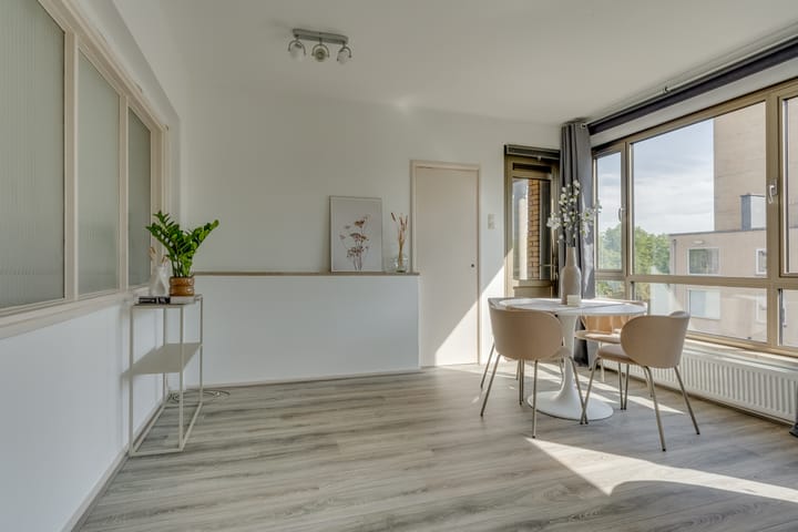 Foto 3 van Adriaen van Ostadelaan 161-3