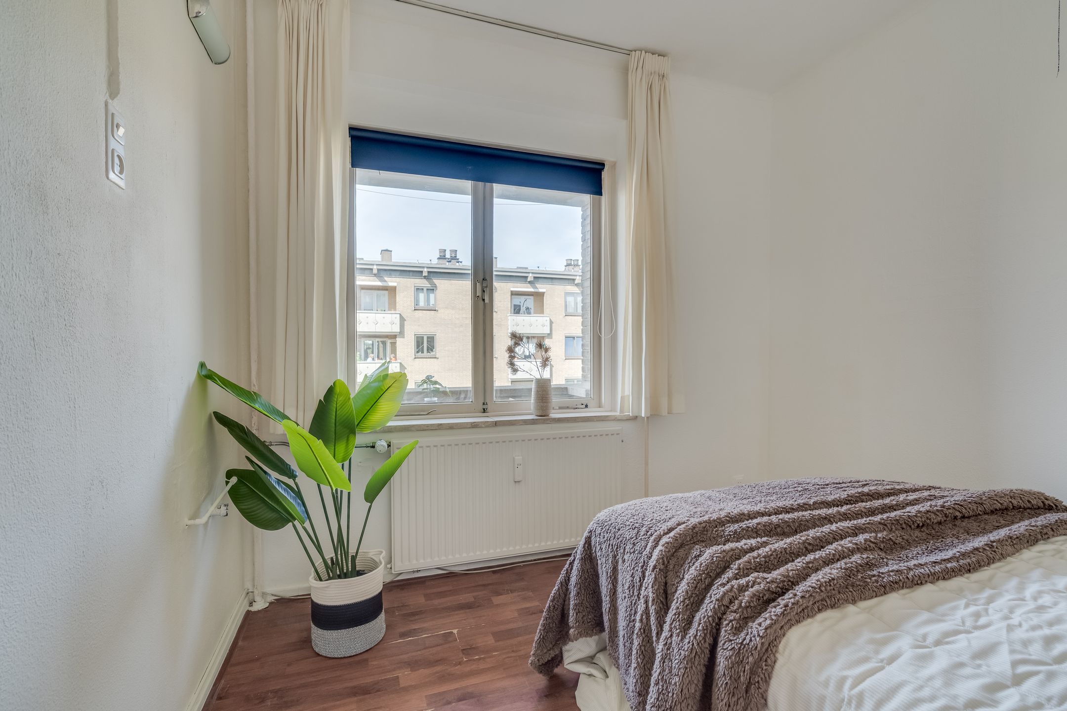 Foto 18 van Adriaen van Ostadelaan 161-3