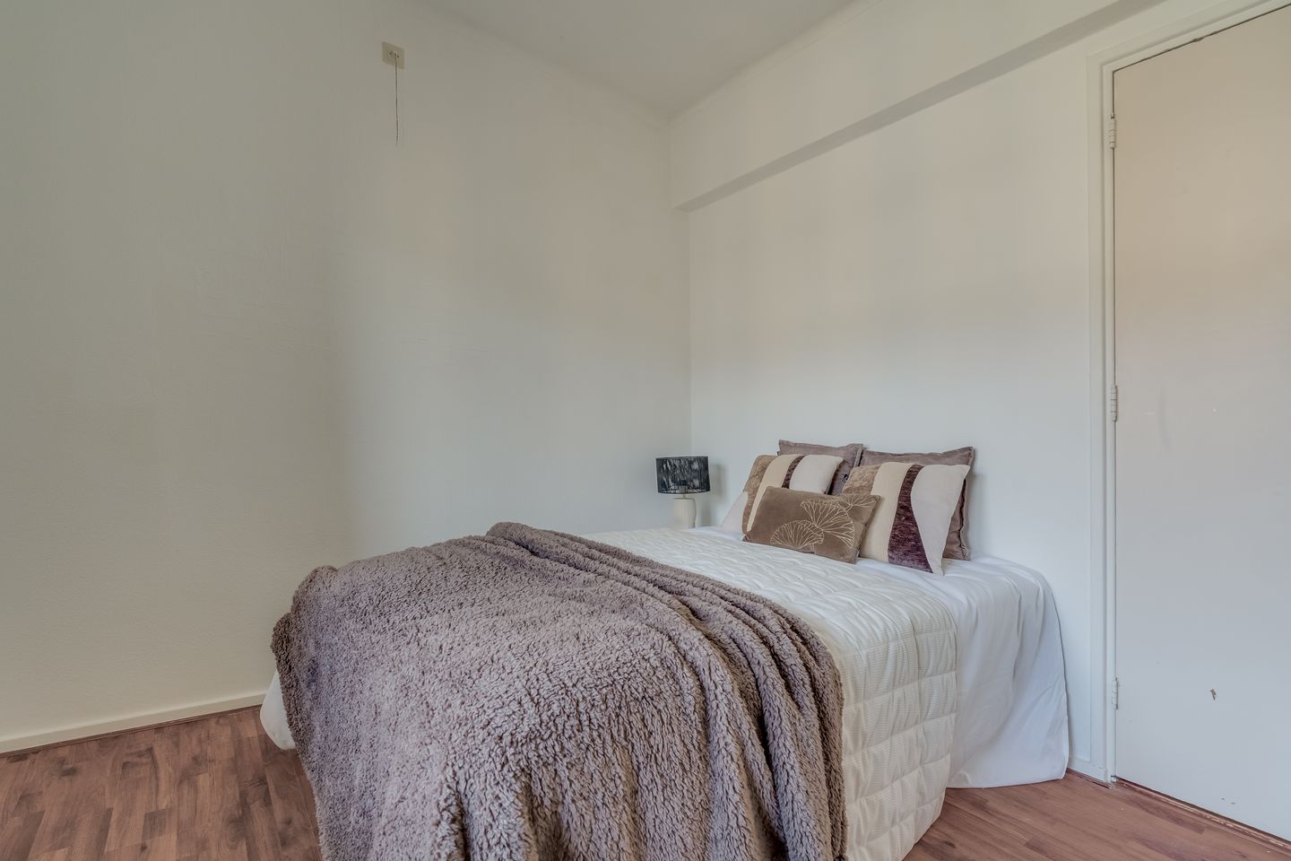 Foto 19 van Adriaen van Ostadelaan 161-3