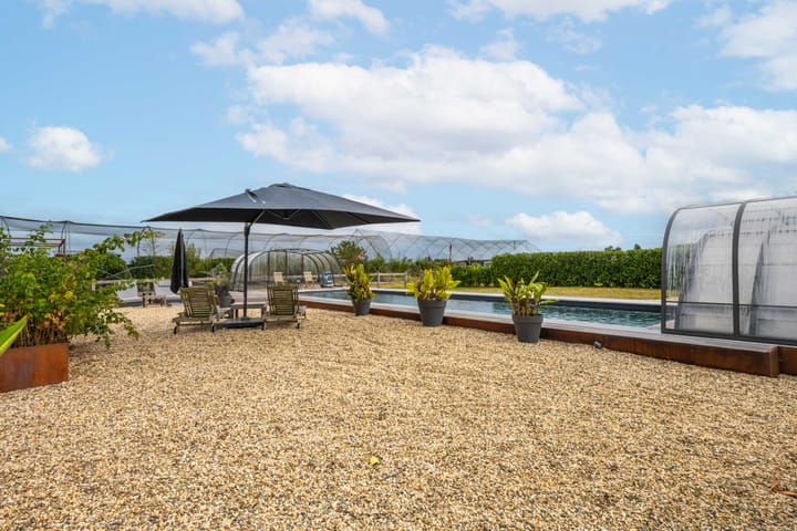 Photo 5 of Rijnbandijk 95