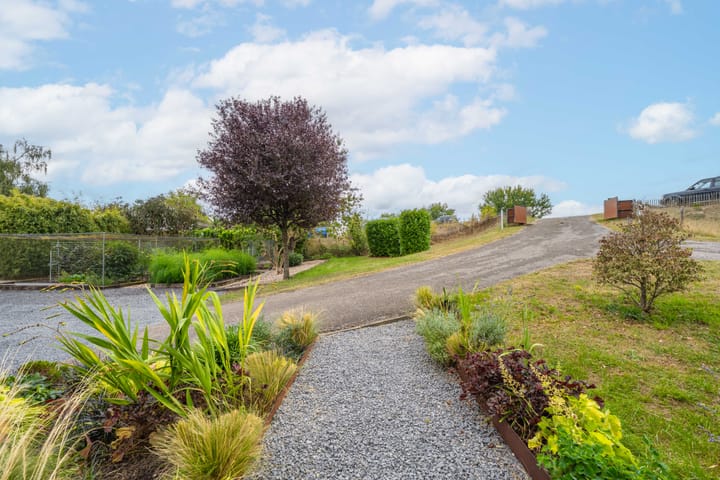 Photo 51 of Rijnbandijk 95