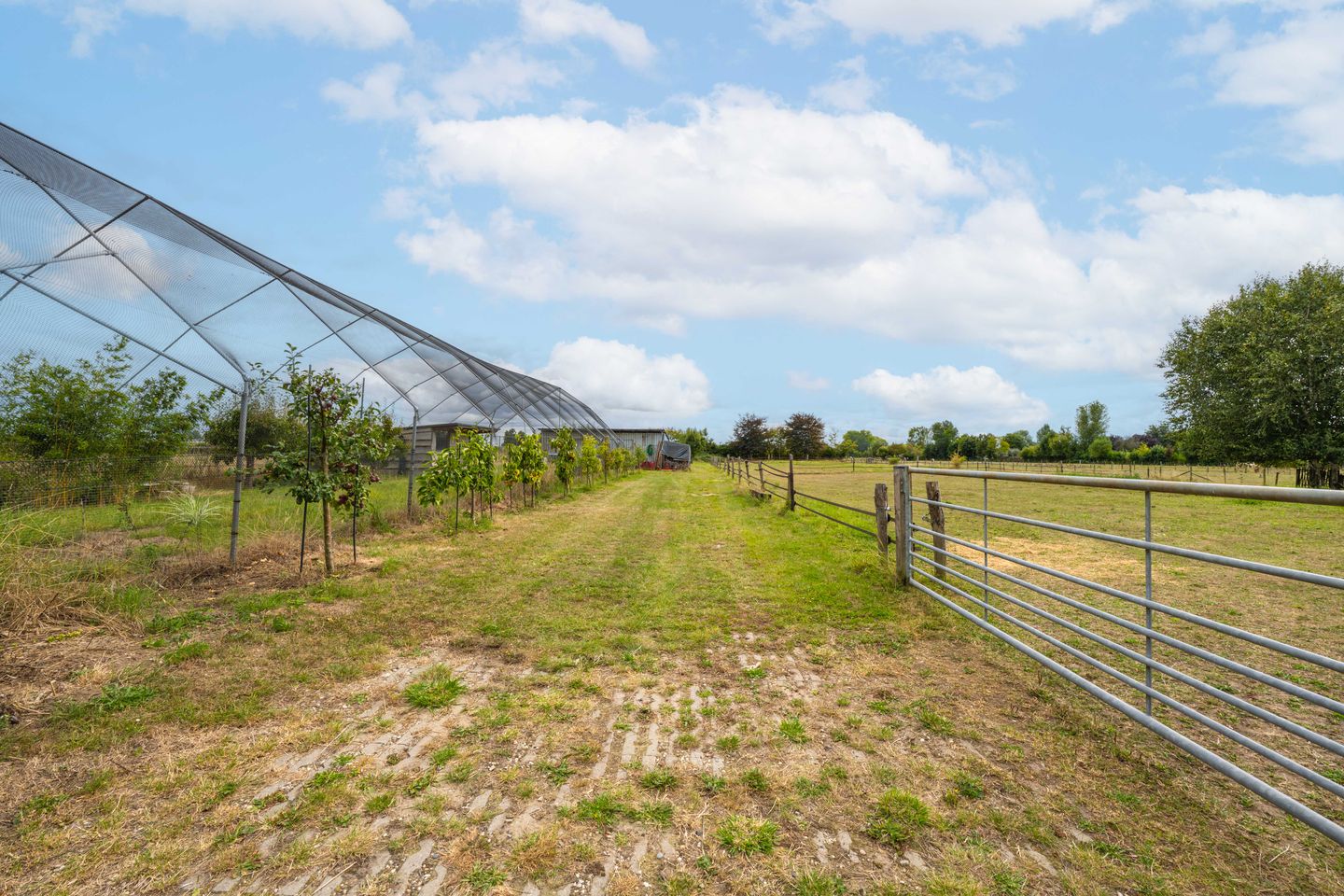 Foto 79 van Rijnbandijk 95