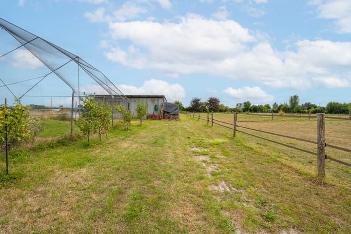 Photo 80 of Rijnbandijk 95