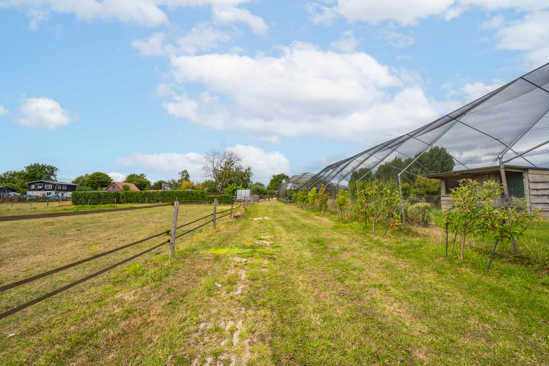 Foto 82 van Rijnbandijk 95