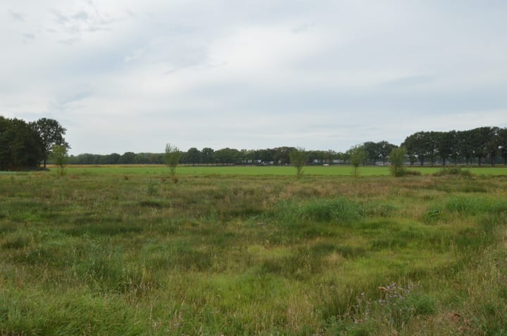 Photo 44 of Tamboer 10