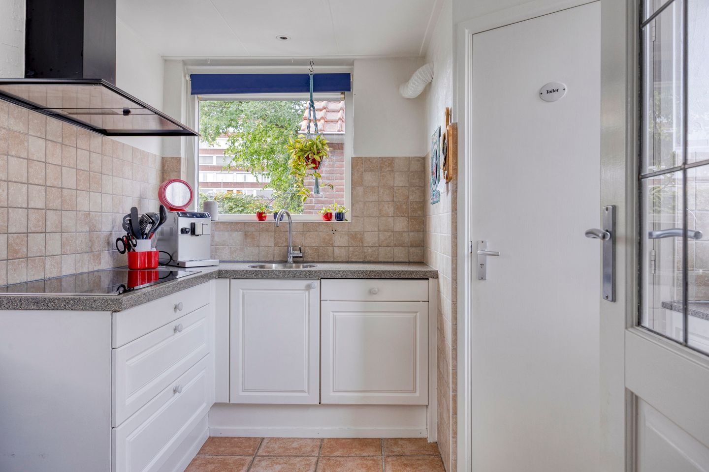 Foto 10 van Terpsingel 11