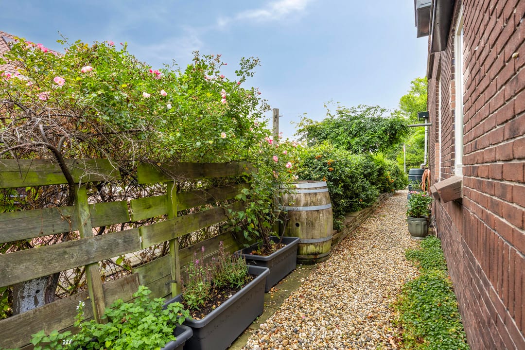 Foto 28 van Terpsingel 11