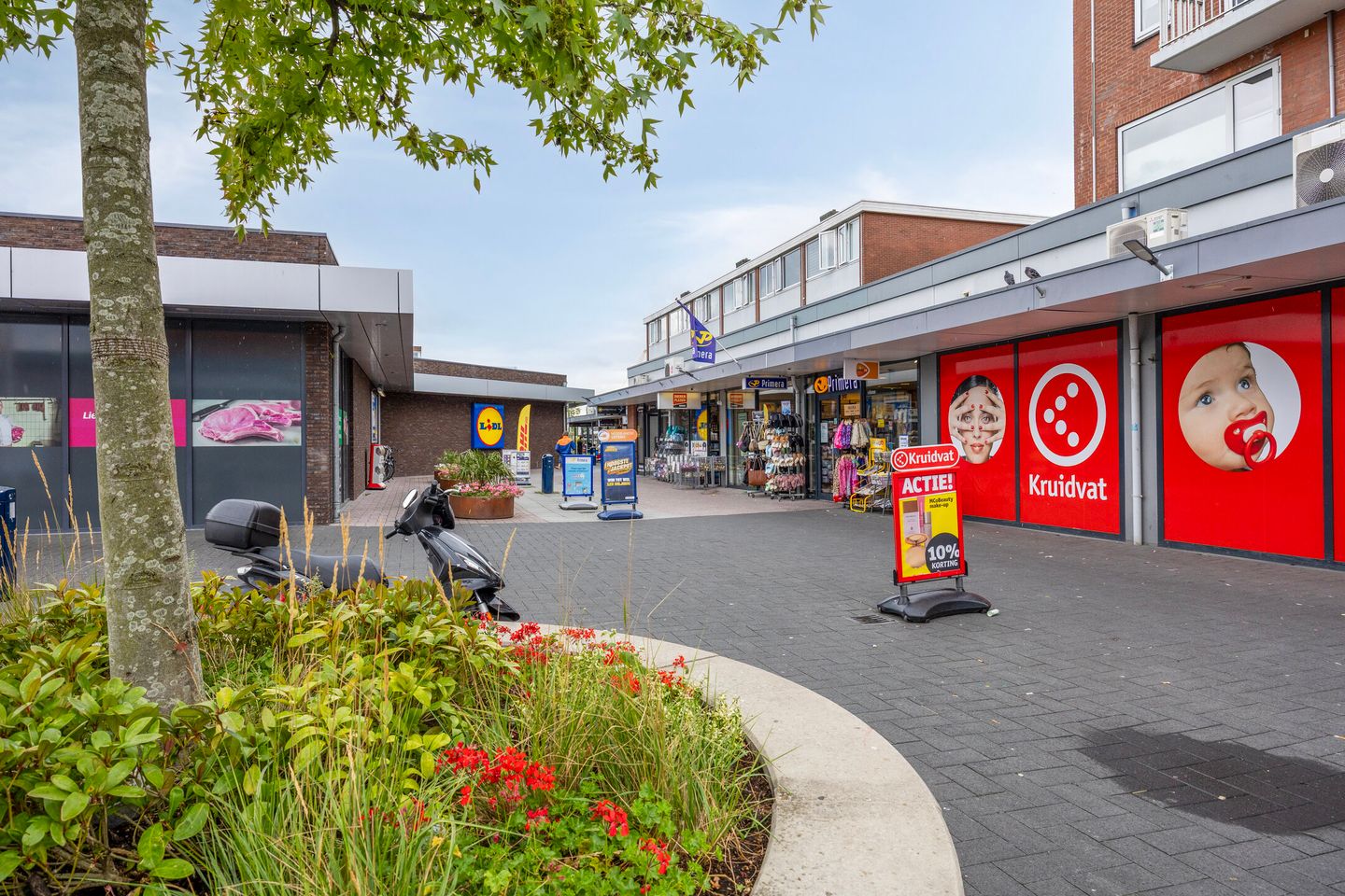 Foto 34 van Terpsingel 11