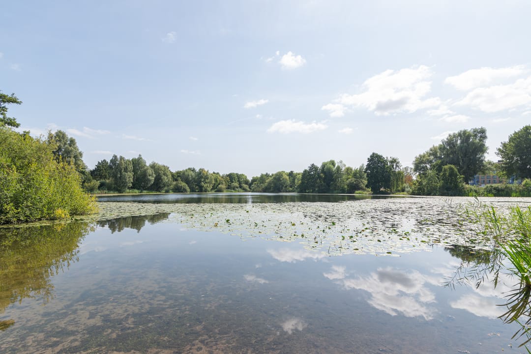 Foto 32 van Haarspitveld 30