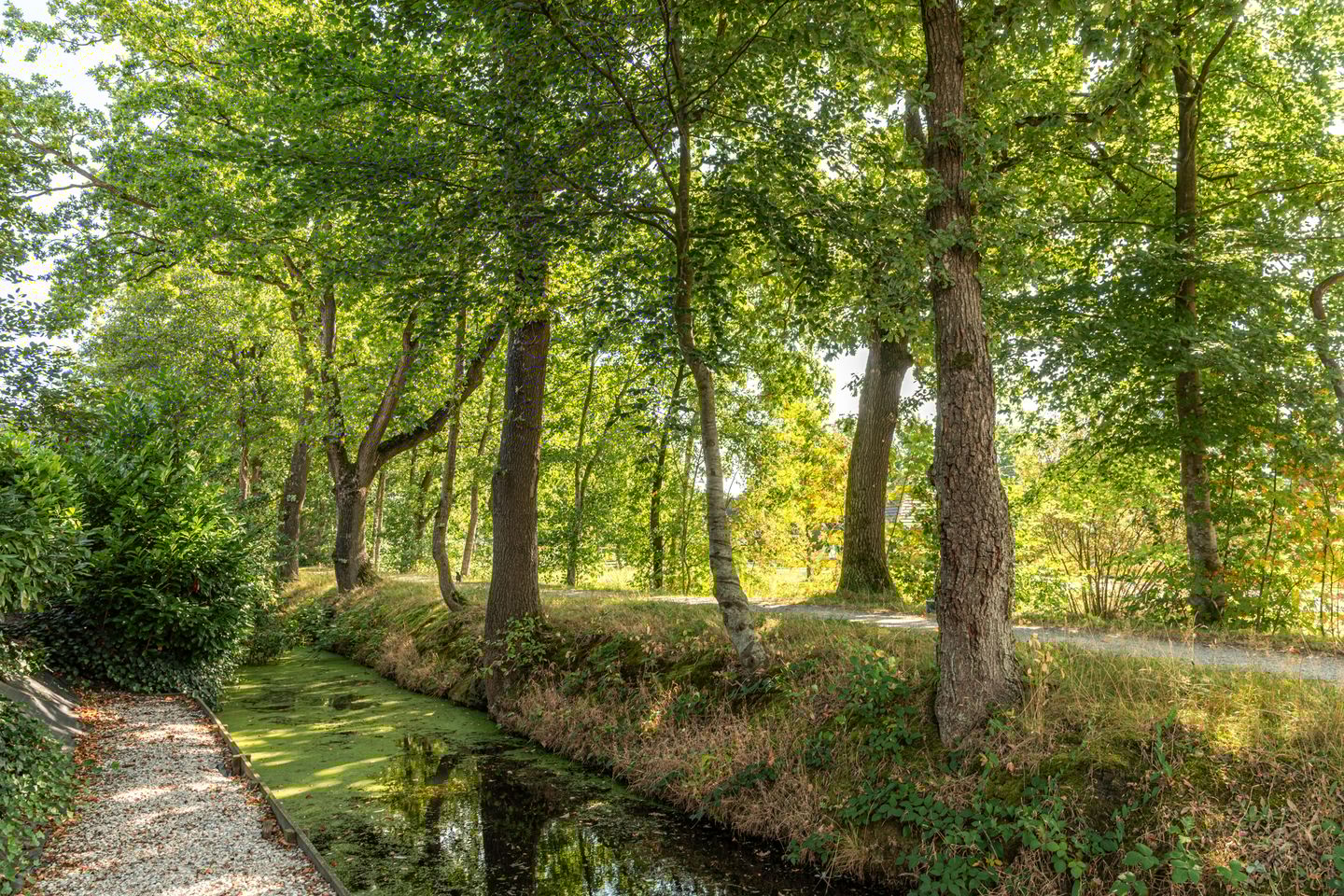 Photo 20 of Rietpol 24