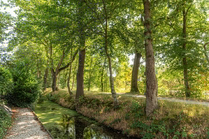 Foto 20 van Rietpol 24