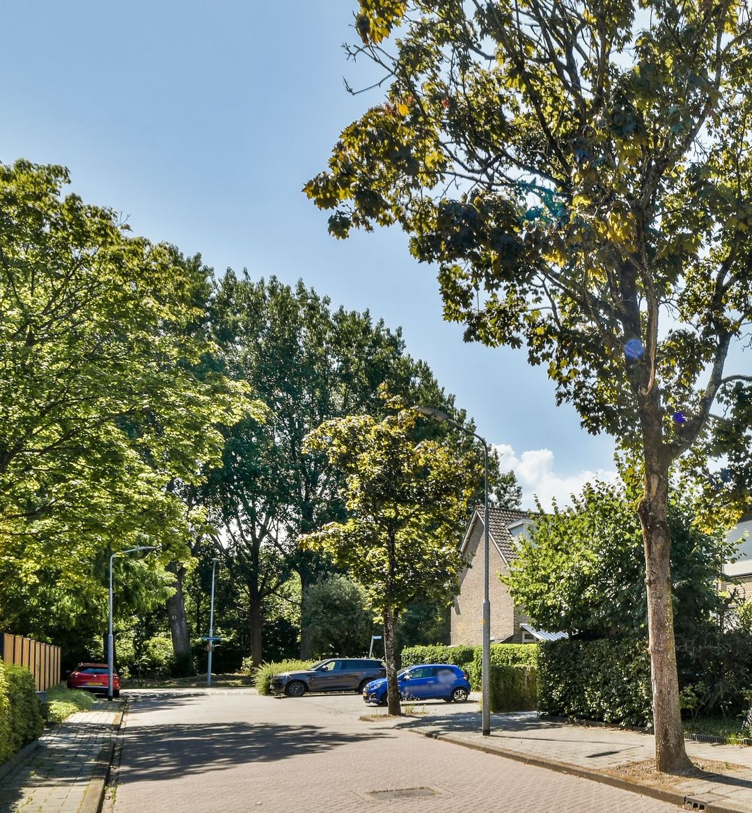 Foto 31 van Haamstedestraat 4