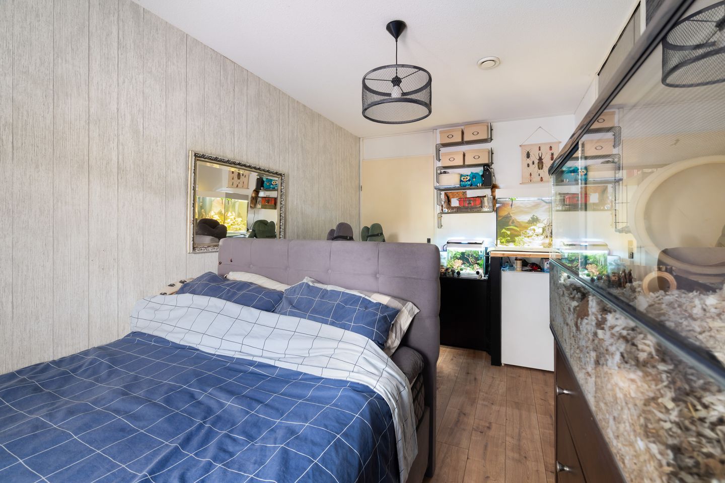 Foto 34 van Ortolaanstraat 31