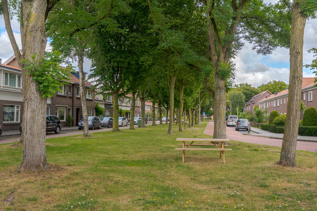 Foto 53 van Goudenregenstraat 49