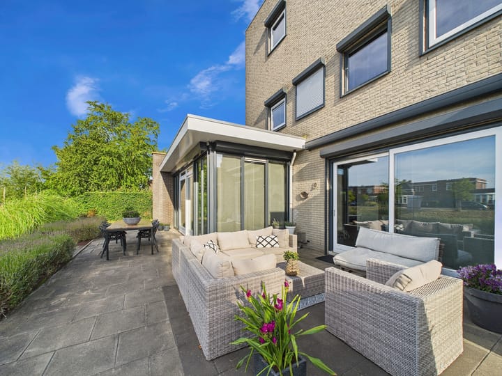 Foto 50 van Buizerd 11