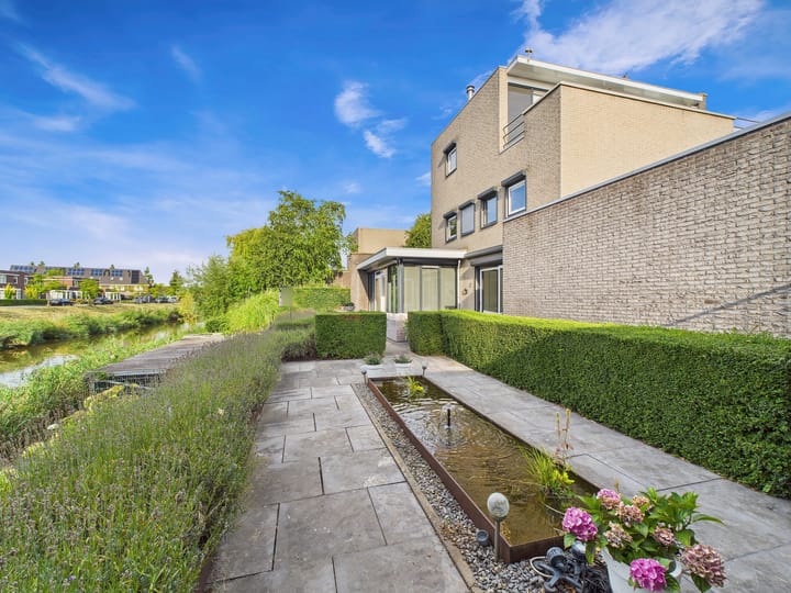 Foto 55 van Buizerd 11