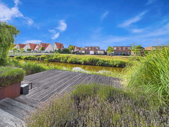 Foto 56 van Buizerd 11