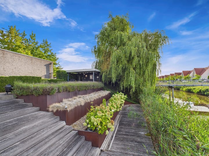 Foto 57 van Buizerd 11