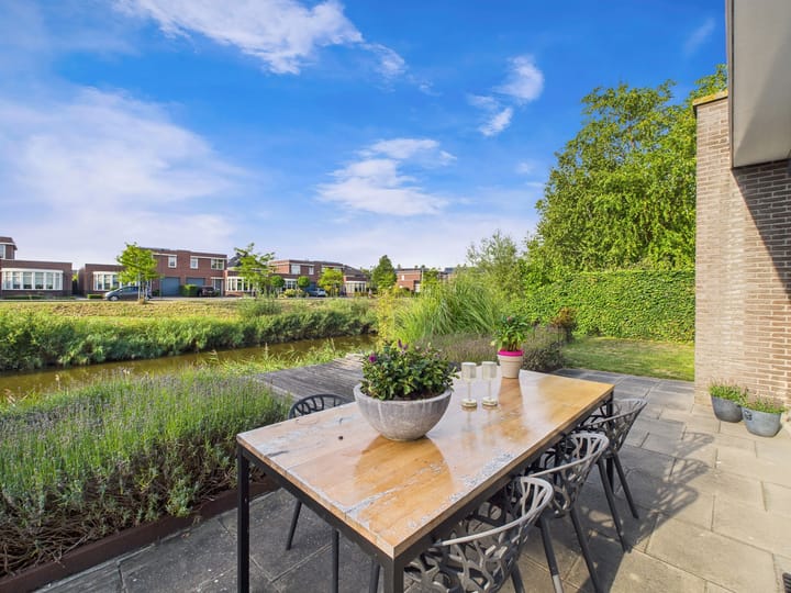 Foto 59 van Buizerd 11