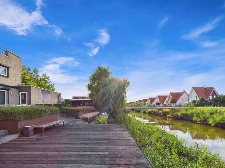 Foto 61 van Buizerd 11