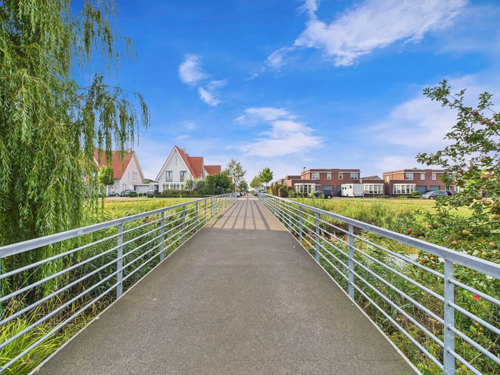 Foto 63 van Buizerd 11