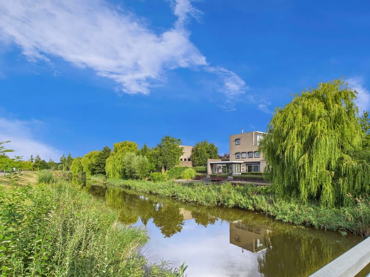 Foto 65 van Buizerd 11