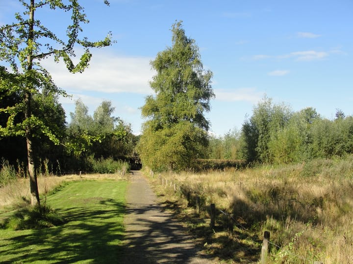 Foto 31 van Count Basiestraat 3