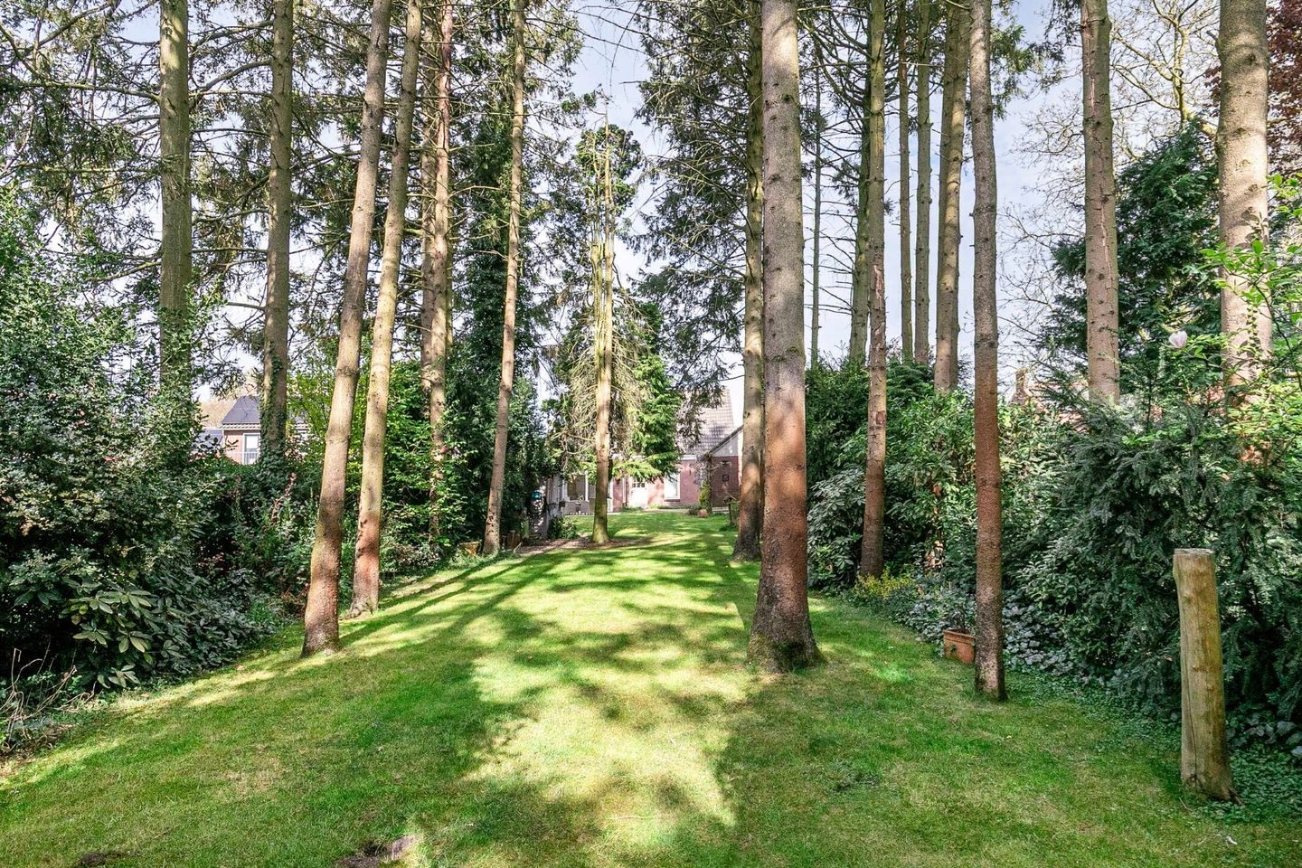 Foto 4 van Grootschoterweg 57