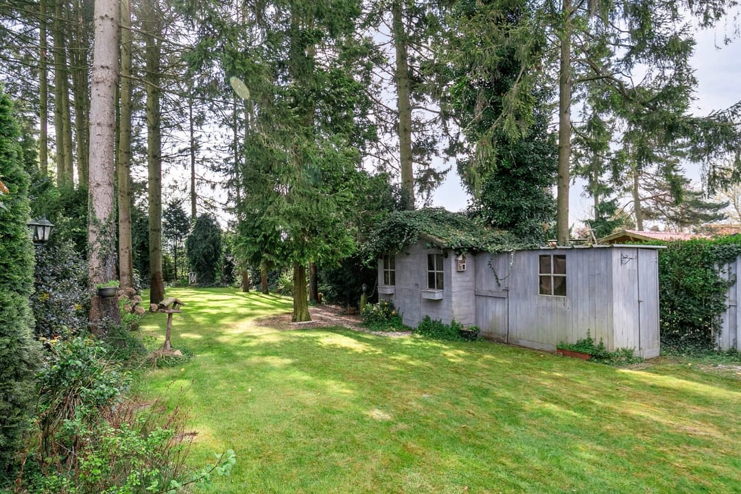 Foto 26 van Grootschoterweg 57