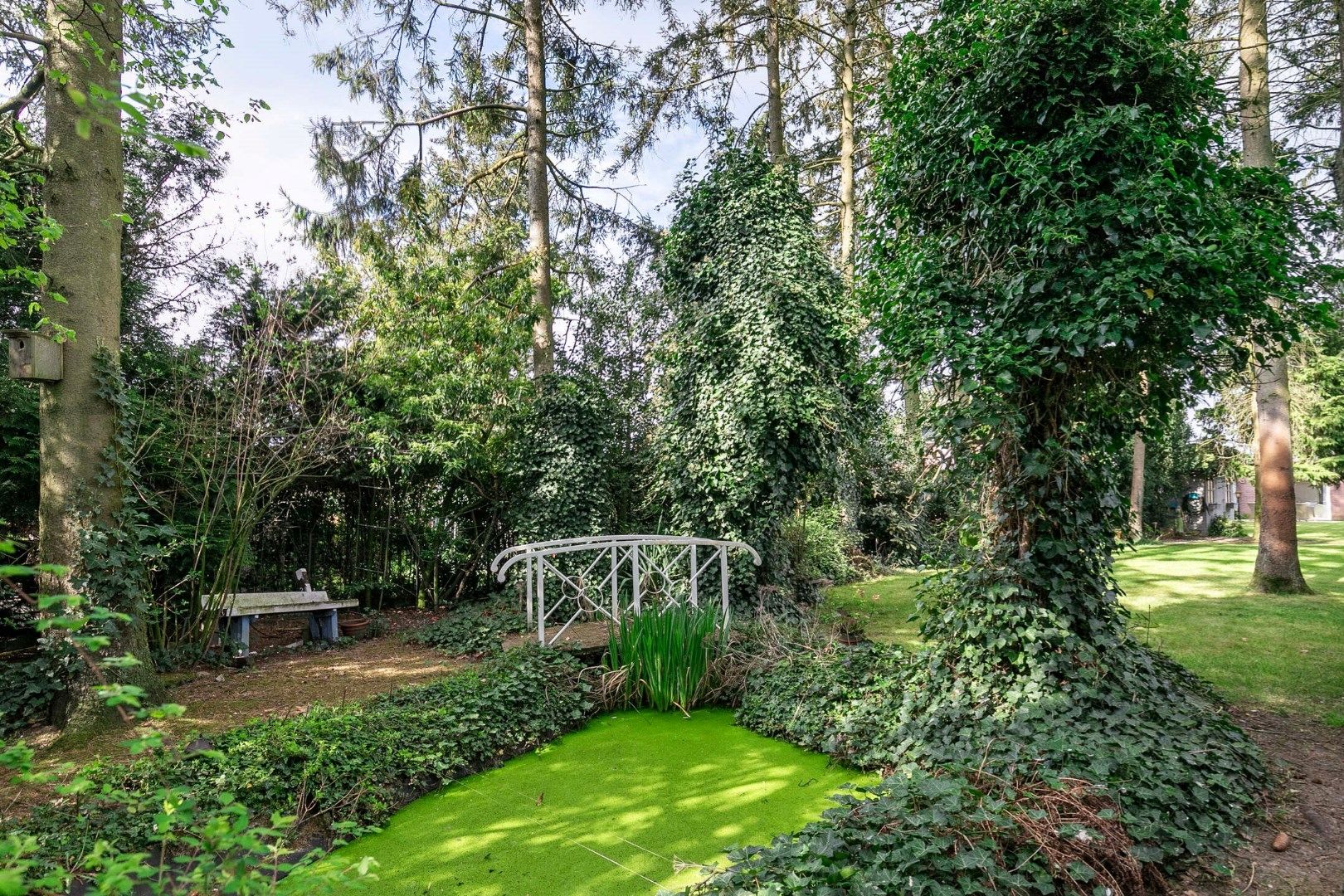 Foto 27 van Grootschoterweg 57