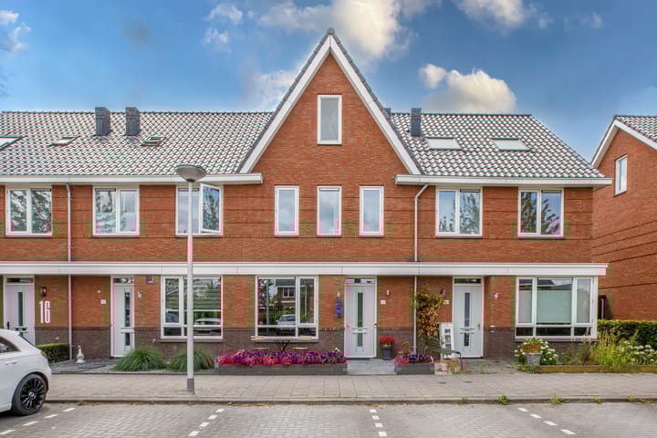 Photo 4 of Klimroos 12