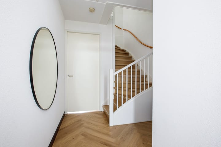 Photo 5 of Klimroos 12