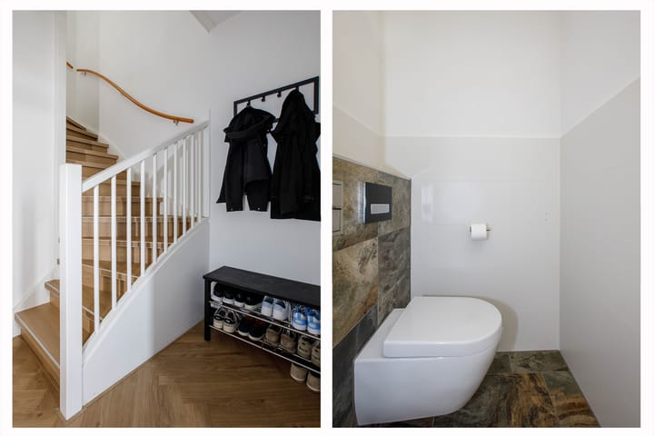 Foto 7 van Klimroos 12