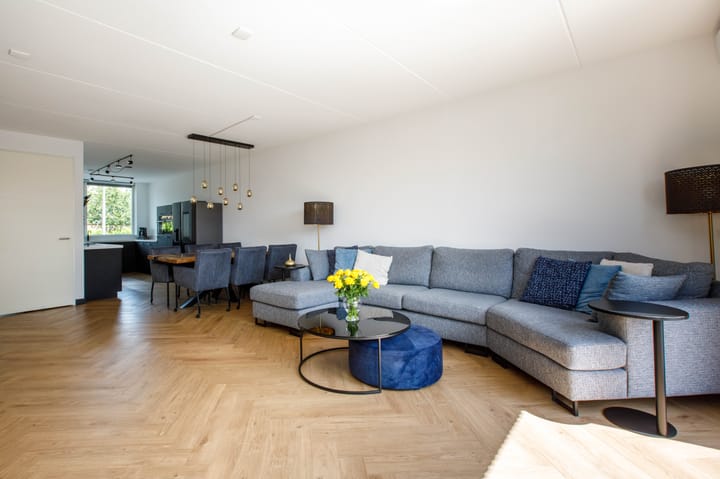 Foto 9 van Klimroos 12