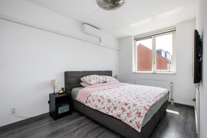 Foto 20 van Klimroos 12