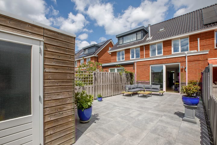 Foto 31 van Klimroos 12