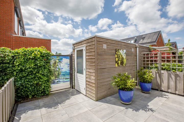 Foto 34 van Klimroos 12