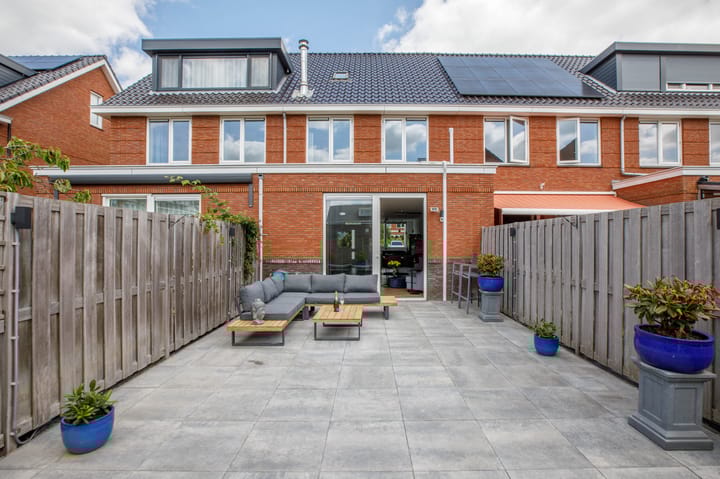 Foto 37 van Klimroos 12