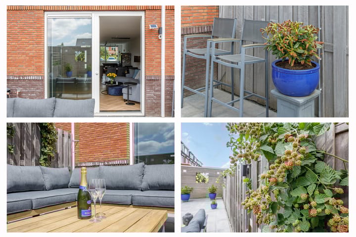 Foto 39 van Klimroos 12