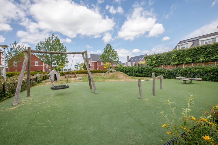 Foto 40 van Klimroos 12