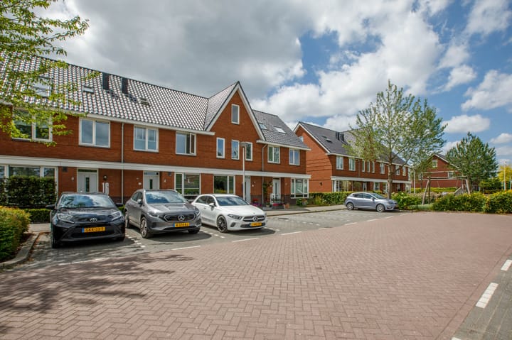 Foto 41 van Klimroos 12