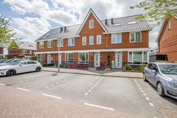 Foto 42 van Klimroos 12