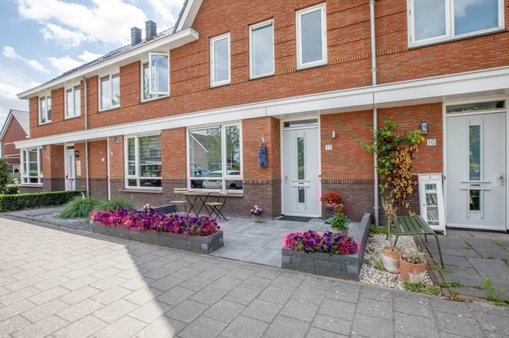 Foto 43 van Klimroos 12