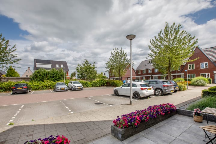 Foto 44 van Klimroos 12