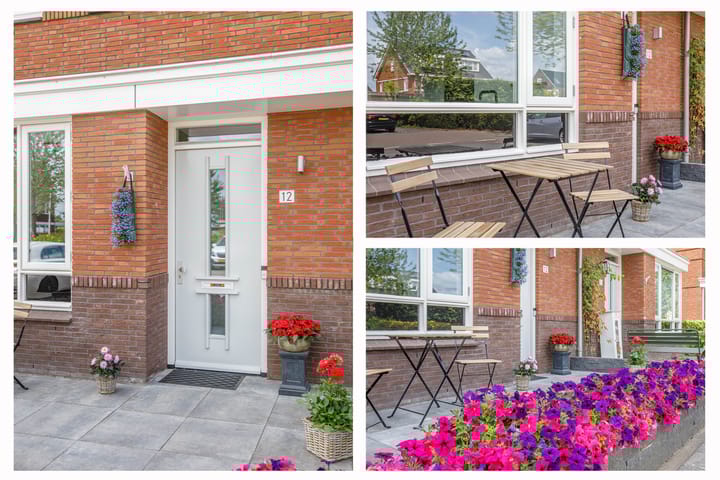 Foto 45 van Klimroos 12