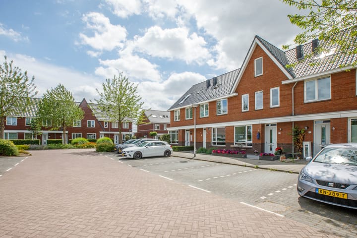 Foto 46 van Klimroos 12