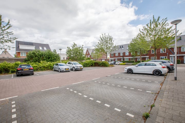 Foto 47 van Klimroos 12