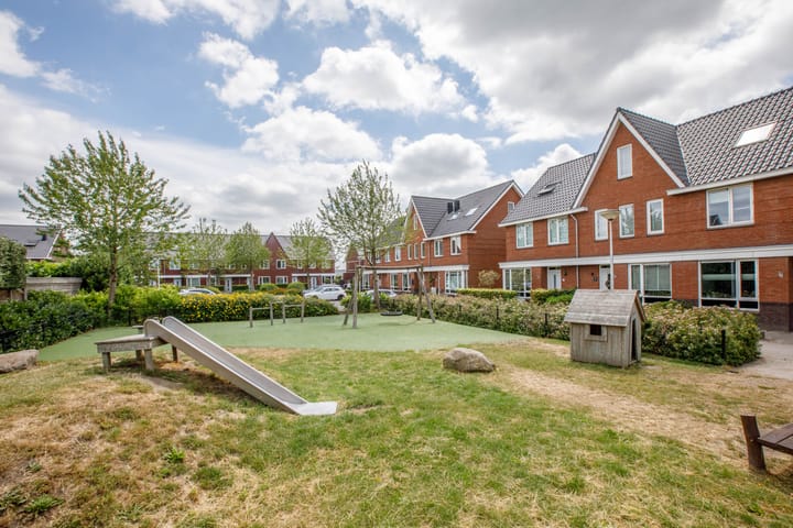 Foto 48 van Klimroos 12