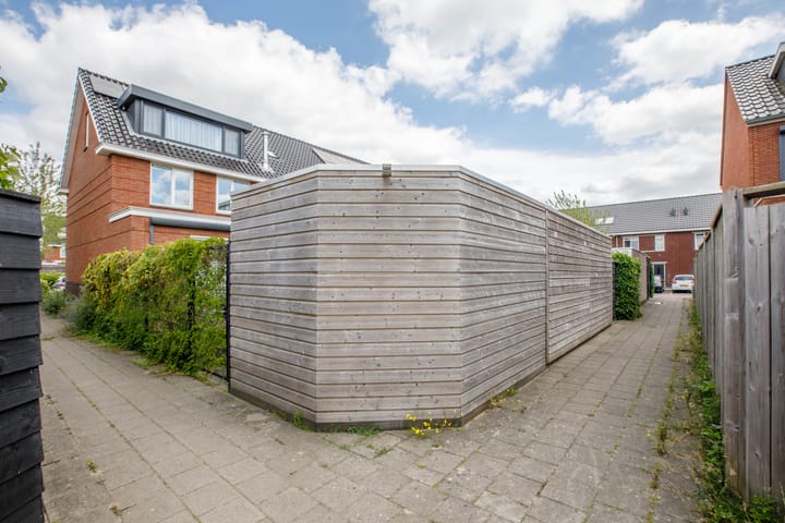 Foto 49 van Klimroos 12