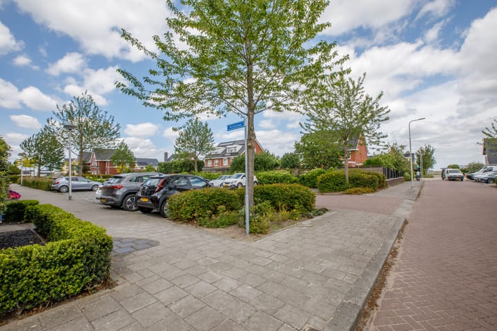 Foto 50 van Klimroos 12